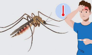 Malaria: There are 5 types of malaria, know its symptoms