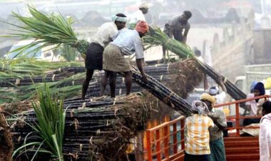 Government cautious about controlling inflation, sugar export policy may come after Diwali