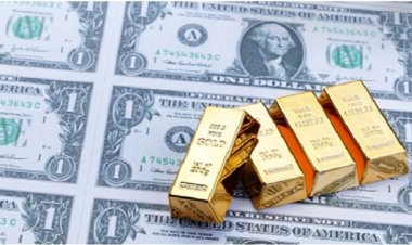 IMF warns all countries, spend forex reserves carefully amid rising volatility