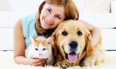 Pet Care During Diwali: tips to take care of your pets as well as stray animals during this Diwali