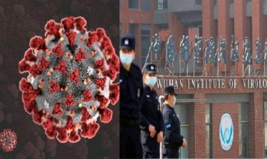 Beijing closes Universal Resort in view of rising cases of COVID-19, online studies going on