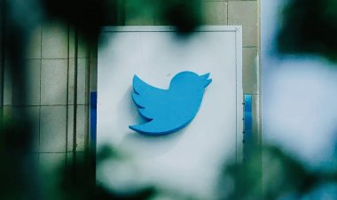 Twitter employees reaction after being dismissed by Elon Musk, Former CEO Parag still has not changed his bio