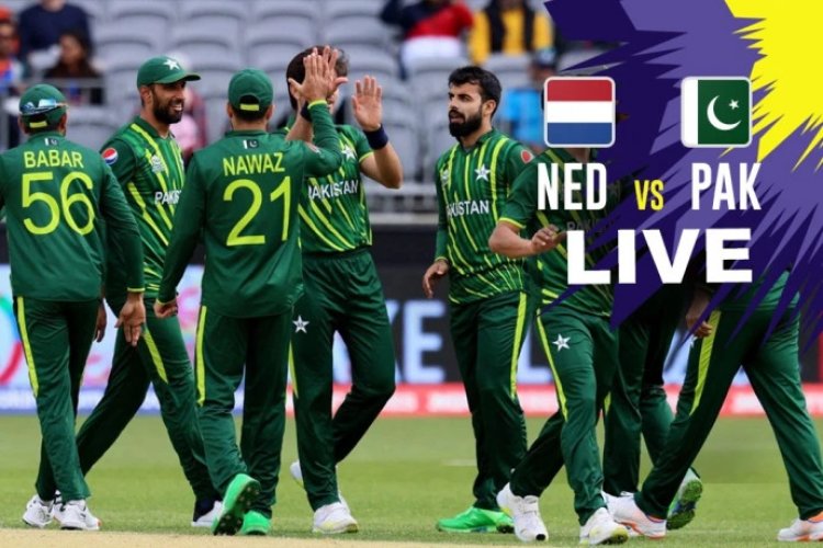 T20 world cup 2022 Pak vs Ned: Pakistan tightens its grip on Netherlands, needs 92 runs to win