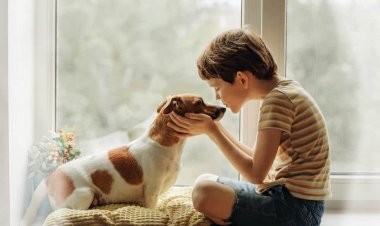 Benefits of Pets: The role of pets is very special in developing the child's mind.