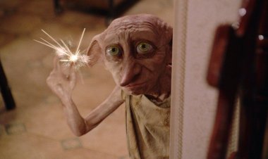 Harry Potter: Appeal to fans of 'Harry Potter' not to leave socks at Dobby's memorial, decision taken due to environment