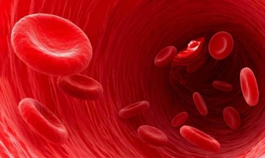 Revolutionary change blood disorders treatment! lab-prepared blood was given to people for the first time in the world