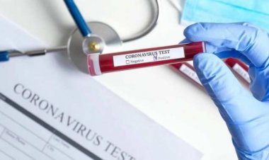 SARS-CoV-2: US researchers reveals that Corona virus damages the heart muscle of people