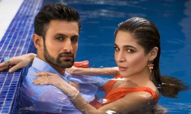 Shoaib Malik cheated on Sania Mirza for Ayesha Omar finally led to divorce, bold Photoshoot went viral