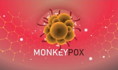 Monkeypox Rename MPOX: now this dangerous virus will be known as 'MPOX', know what's the whole matter