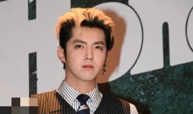 Chinese-Canadian Pop Star Kris Wu sentenced to 13 years in rape case