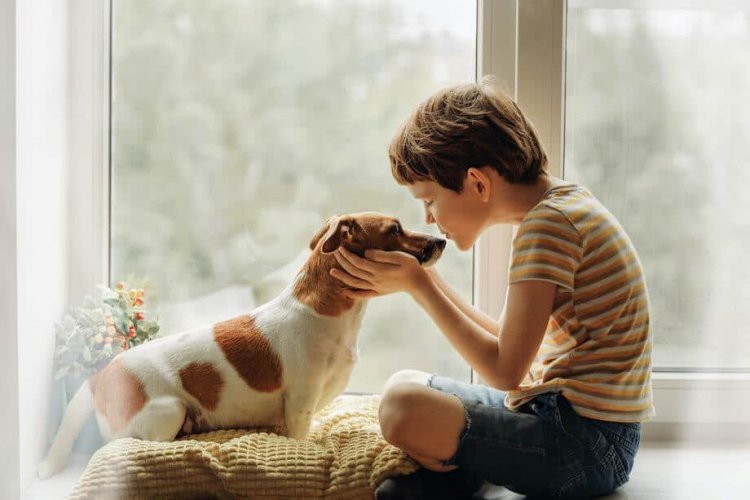 Benefits of Pets: The role of pets is very special in developing the child's mind.