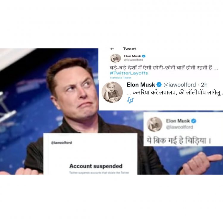 'Twitter tere tukde honge' Elon musk's profile pic to bio and name everything copied by someone, read the truth behind it