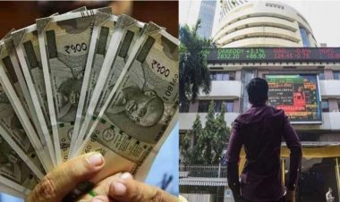 FPI played bets on the financial sector; invested 14,205 crore in the market in November