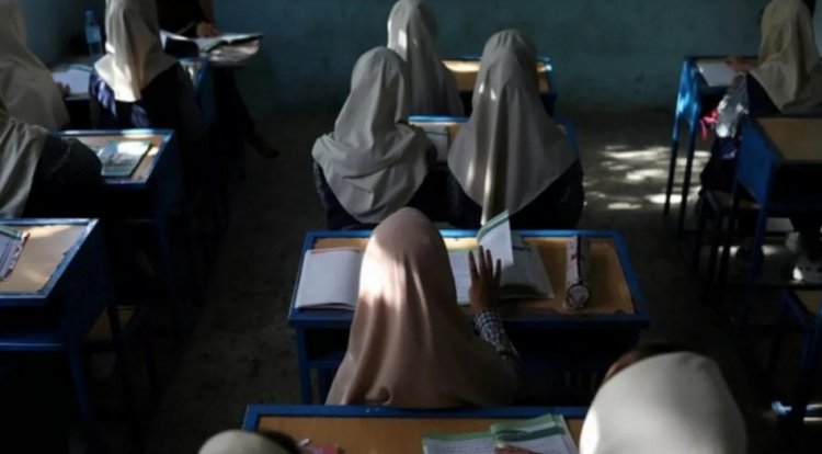 Afghan Women Under Taliban: ECW calls on Taliban authorities to allow education for women
