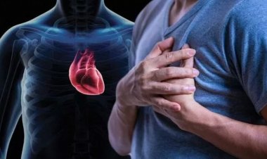 Heart Health: what are the reasons behind heart attack even at young age? experts review, and tips to keep your heart healthy