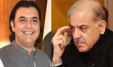 Pakistan Crisis: 'Pak has become politically and morally bankrupt', former senator shared the current condition of the country