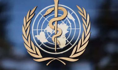 Cough Syrup Deaths: WHO showed strictness regarding deaths due to poisonous cough syrup, sought information from manufacturers