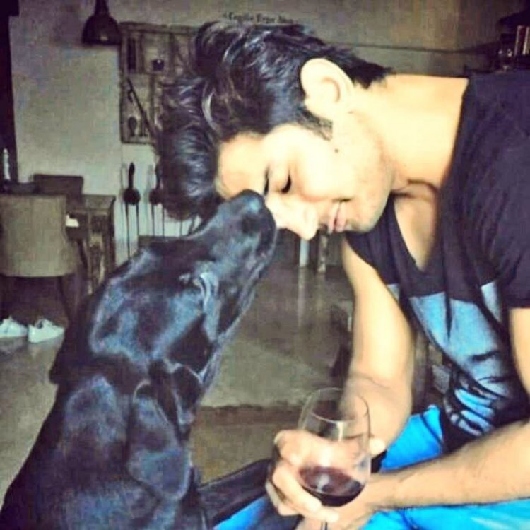 Sushant's dog 'Fudge' passes away, late actor's sister shares the information on social media