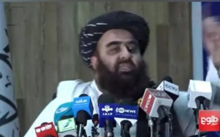 Pakistan Mosque Blast: Taliban taught Pakistan a lesson on terrorism, said - don't blame others