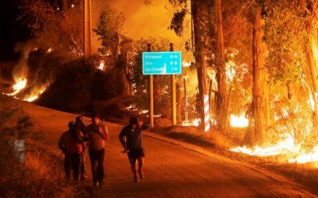 South America: forest fire in chile due to severe heat, 13 deaths