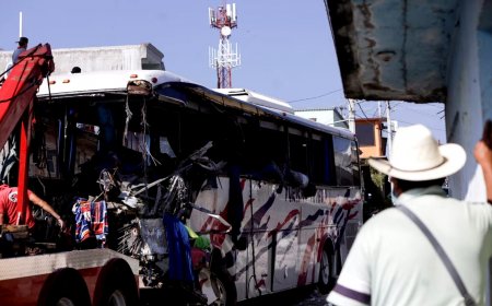 Mexico Bus Accident: 17 migrants killed, 13 injured in the bus accident of central Mexico
