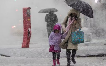 Snow storm continues to wreak havoc in America, more than 1600 flights cancelled