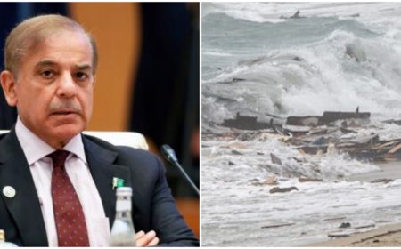 Over two dozen Pakistanis Drowned in Italy Boat Tragedy: PAK PM Shehbaz Sharif