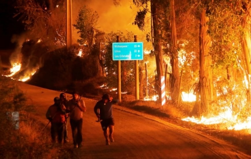 South America: forest fire in chile due to severe heat, 13 deaths
