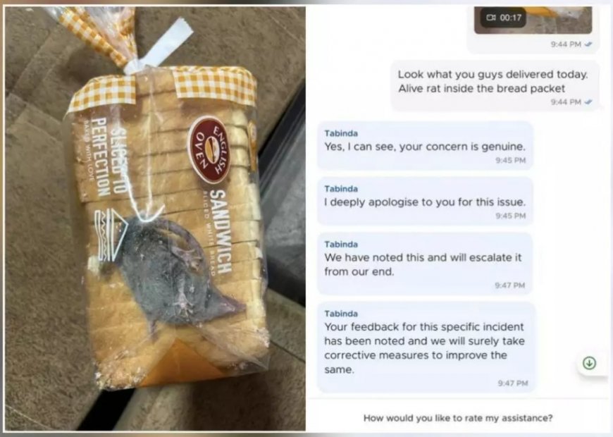 Man shares picture of 'live rat' inside bread packet delivered from delivery app, company responds