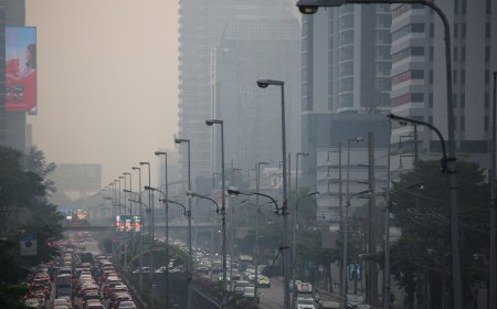 Air pollution worsens in Thailand, more than 2 lakh people Hospitalised, People urged to take special precautions