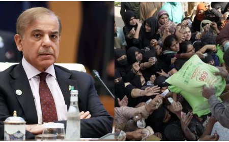 Unemployment is increasing due to import curbs in Pakistan, the situation is getting worse day by day