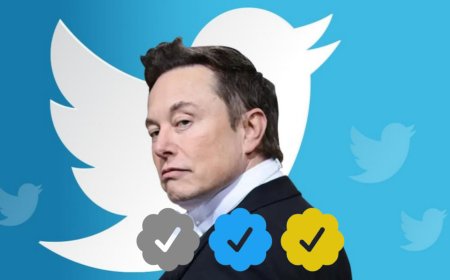 Here's all you need to know about Twitter various kinds of ticks, Blue Ticks subscription costs Rs 900 per month in India