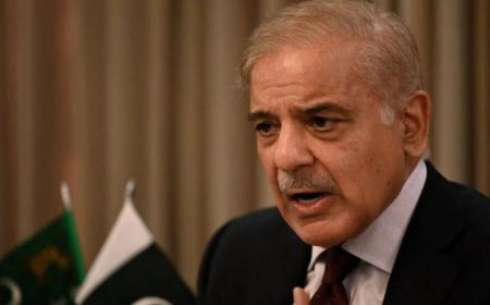 A 'Suspicious' Afghan Man entered PM Shahbaz Sharif's house; arrested