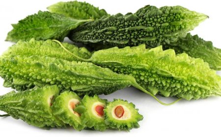 Health Tips: Bitter gourd is no less than a boon for health, but here's the list of things you shouldn't eat with it