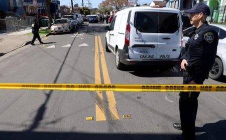 17 arrested, AK-47 and machine gun weapons seized in California gurdwara shooting case