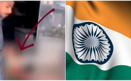 DNH police arrested a man arrested for cleaning chicken with 'National Flag', viral video