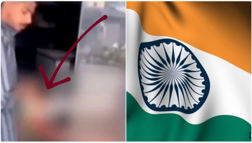 DNH police arrested a man arrested for cleaning chicken with 'National Flag', viral video