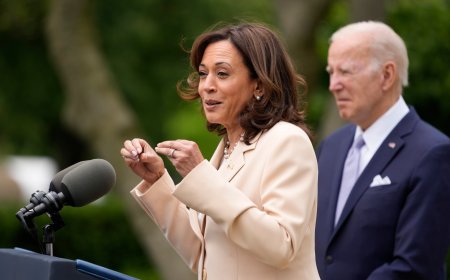 Threat of AI... Emergency meeting with Google, Microsoft, OpenAI held at White House