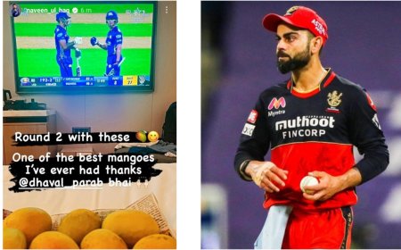 "This season will be remembered for virat kohli and Naveen-ul-Haq fight.... 'Fans after Naveen-ul-Haq 'Sweet Mango' Instagram story