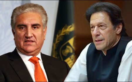 Imran Khan's close aide Shah Mehmood Qureshi arrested for 'inciting violent protests'; PAK Police