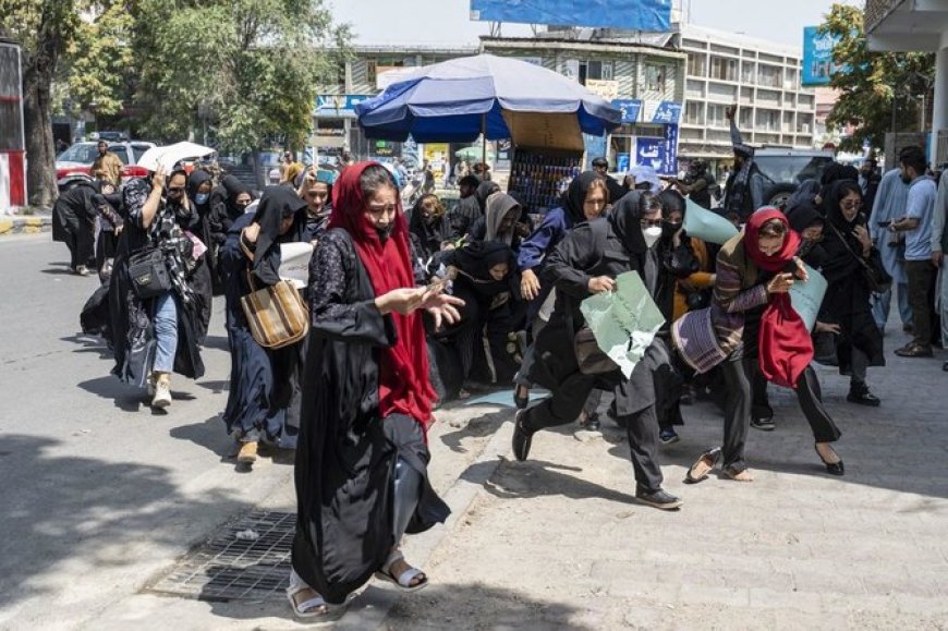 'Afghan workers will continue to work from home.. 'UN after Taliban ban on female workers