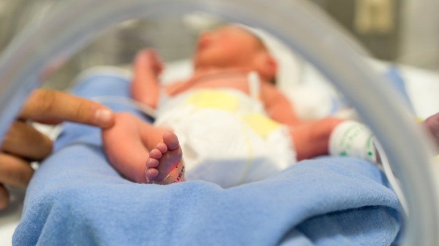 First Baby with DNA from three people born in The UK
