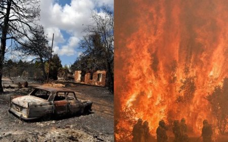 Since 1980, bad weather in Europe killed about 2 lakh people, economic loss of more than 56 thousand crores