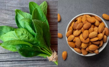 Calcium Rich Foods: Calcium deficiency starts in women after 30, these foods will be useful