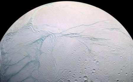 Essential elements found for life on Saturn's moon, scientists gathered information from data from NASA's Cassini mission