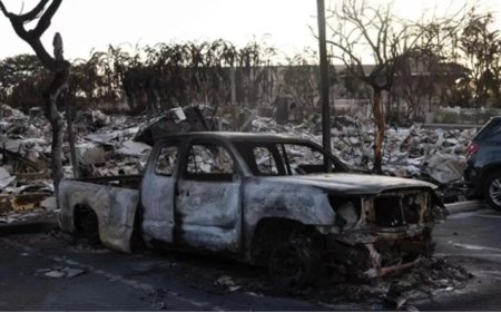 Death toll from wildfire in USA's Hawaii rises to 99, emergency declared in Canadian city of Yellowknife