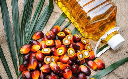 Palm oil does not threaten health