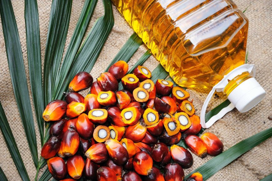 Palm oil does not threaten health