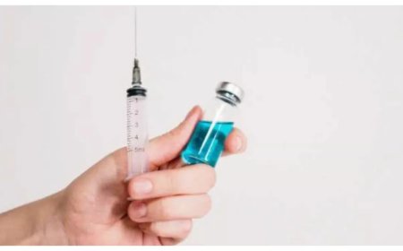 Malaria Vaccine: WHO approves second malaria vaccine, will be available for use by the end of 2024