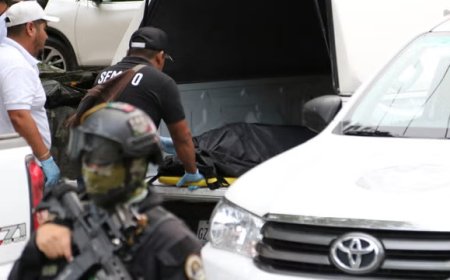 Mexico City: Leader of a civilian "self-defense" group shot dead in southern Mexico